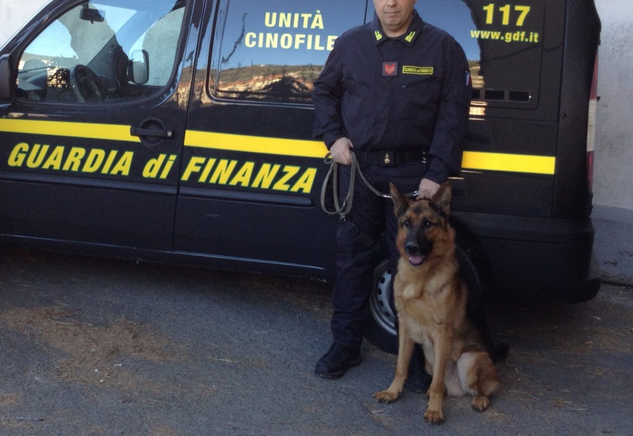 A Ventimiglia il 24° raduno degli animali. Special guest il cane antidroga Zaffo