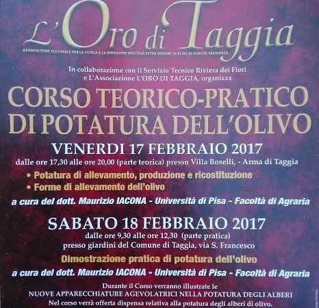 A grande richiesta ritorna a Taggia il corso di potatura dell’olivo