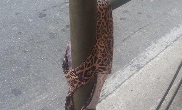 AAA cercasi proprietario della mutanda maculata. Lo strano ritrovamento a Sanremo