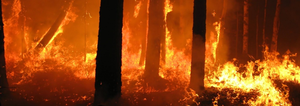 ALLARME INCENDI: STATO DI GRAVE PERICOLOSITA’ EMANATO DALLA REGIONE