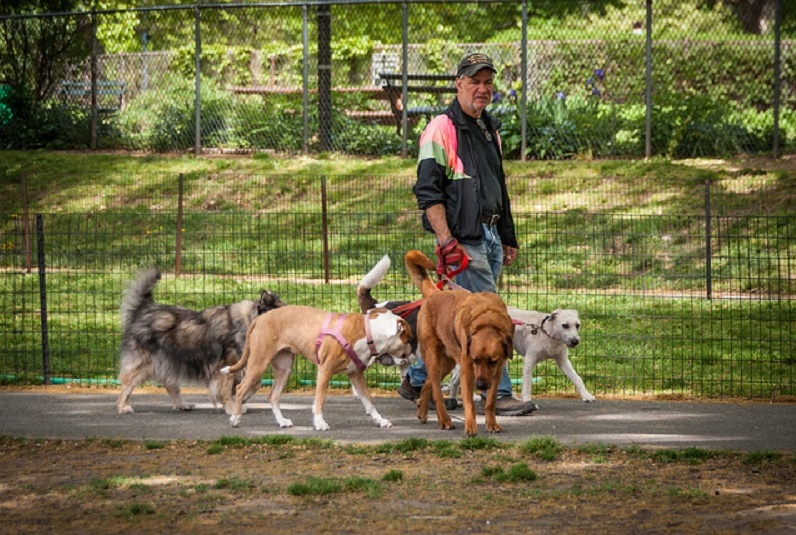 AREA CANI A SAN MARTINO INAUGURATA GIOVEDI’ MATTINA