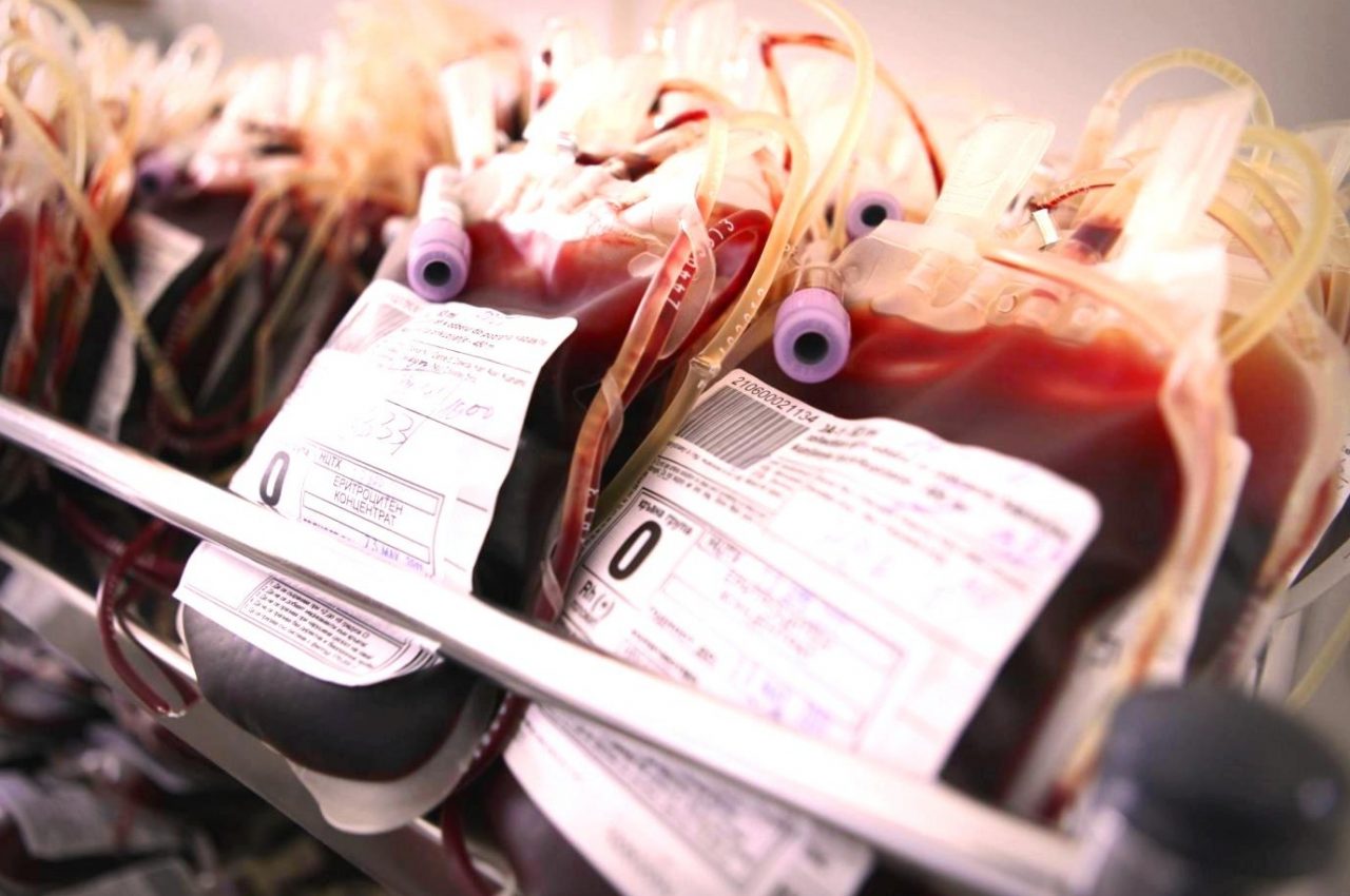 Donatori di sangue: sabato e domenica a Taggia c’è la Fidas