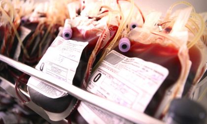 Donatori di sangue: sabato e domenica a Taggia c'è la Fidas