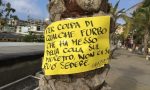 Arma di Taggia:"Non sedetevi sul muretto c'è la colla!" che sia una trovata anti schiamazzi?