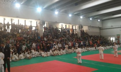 Arma di Taggia: enorme successo per il "Torneo di Primavera" del  Judo Club Sakura