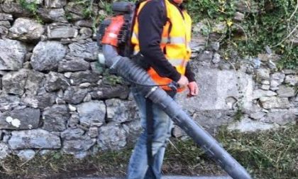 Assessore e volontari a pulire le strade della Valle Argentina