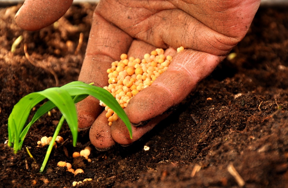 Bocciato il bando per giovani agricoltori della Regione, PD “Bastava parlarne prima”