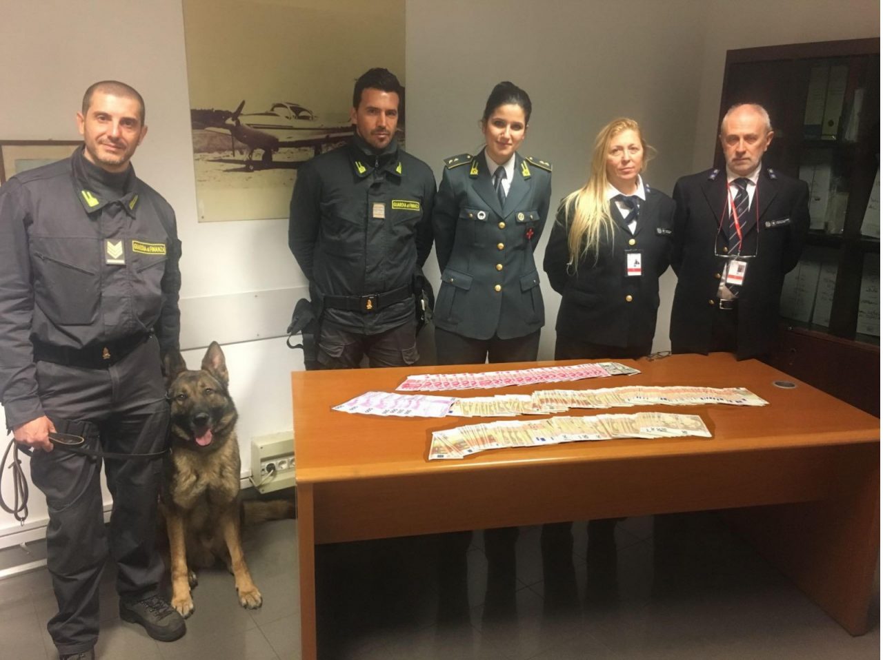 CANE ANTIVALUTA DELLA FINANZA “BLOCCA” ALL’AEROPORTO DI GENOVA PASSEGGERO CON 55MILA EURO IN CONTANTI.