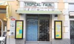 CHIUSO DOPO 50 ANNI DI ATTIVITA' TROPICAL FAUNA IN VIA ROMA