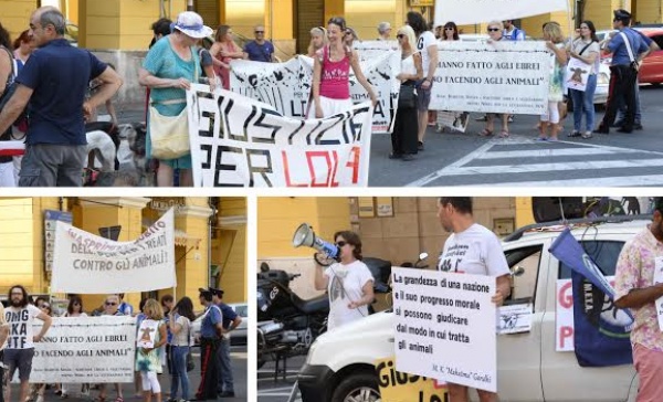 ANIMALISTI IN PIAZZA CONTRO IL PENSIONATO CHE UCCISE A FUCILATE LA CAGNOLINA LOLA/ FOTO & PARTICOLARI