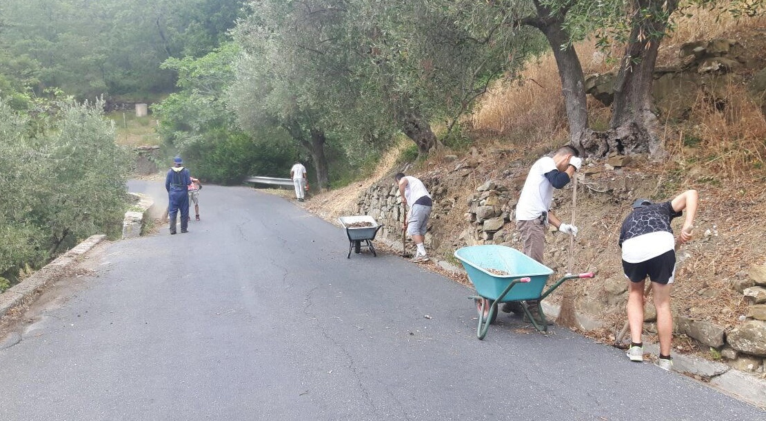 Cipressa: 30 volontari guidati dal sindaco puliscono la provinciale dalla flora