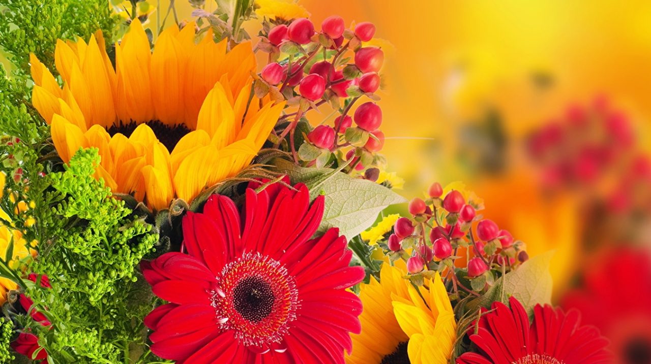Coldiretti Liguria: i principi dei regali di San Valentino sono ancora una volta i fiori