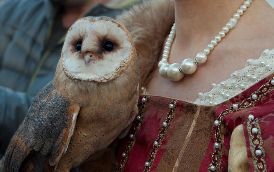 Corso di Falconeria a Seborga-appuntamento nell’agriturismo che fu abitato dai Benedettini