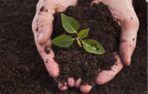 Corso di agricoltura biodinamica dell’Aicardi di Sanremo