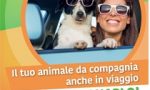 Dalle farmacie una campagna contro l'abbandono degli animali