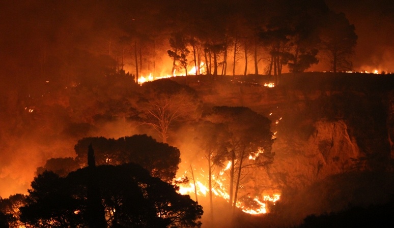 Di nuovo in fiamme le alture tra le province di Imperia e Savona, in frazione Rollo di Andora