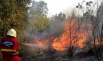 Incendio vicino al cimitero di Triora