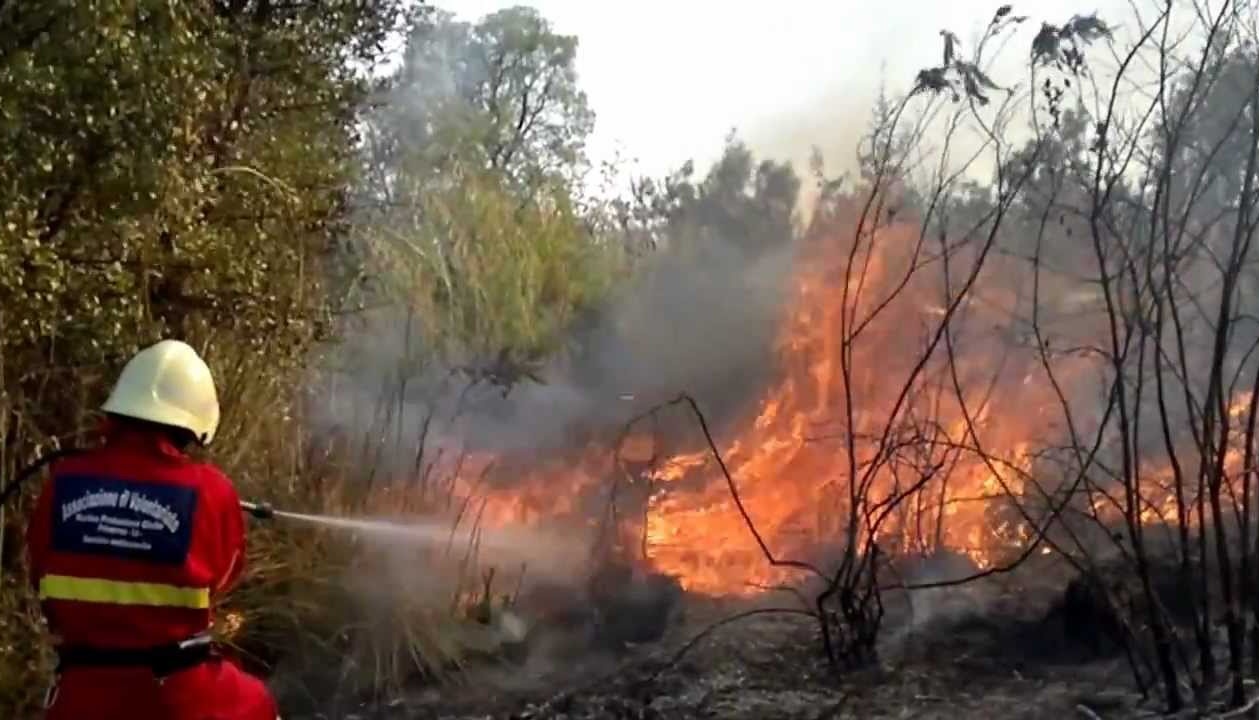 FRANCESE DISPERSO ACCENDE FUOCO NEI BOSCHI E IN MATTINATA DIVAMPA INCENDIO DI 3 ETTARI