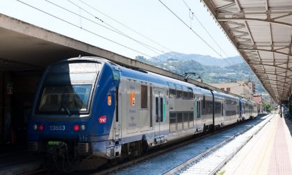 Crolla un pino sulla ferrovia, traffico interrotto sulla linea Ventimiglia-Nizza