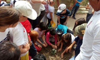 Gli alunni della scuola di Civezza "giardinieri" durante la "Giornata dell'albero"