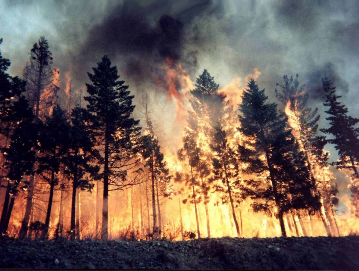 INCENDI – Anche in provincia di Imperia decretato lo stato di grave pericolosità