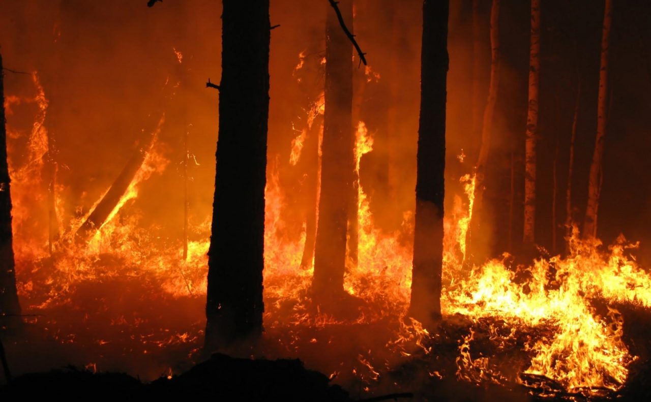 INCENDI: PAUROSO FRONTE TRA PANTASINA E CARPASIO: E’ DI 10 PER 5 KM/ CINQUE FRONTI ATTIVI