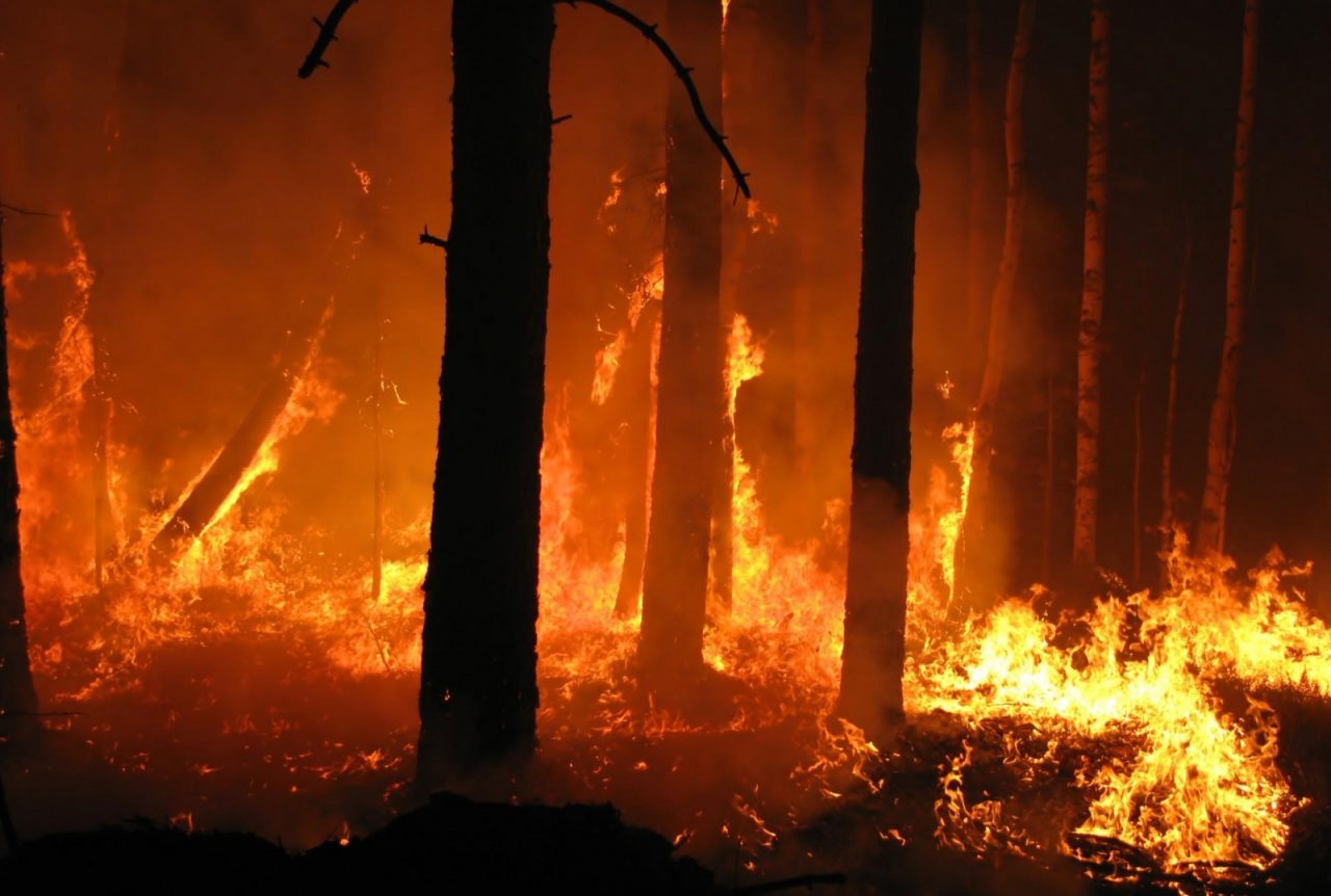INCUBO INCENDI: 3 KM DI FRONTE ATTIVO NELL’IMPERIESE/ DISPOSTA LA “ALLERTA INTERFACCIA”