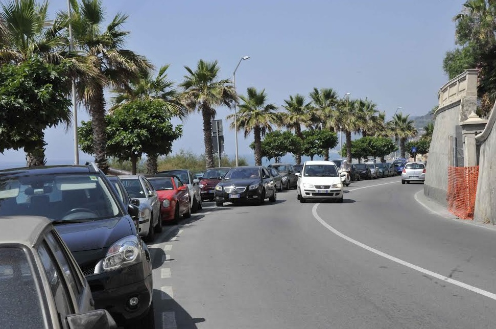 Imperia: iniziato taglio e ripiantumazione delle “vittime” del punteruolo rosso
