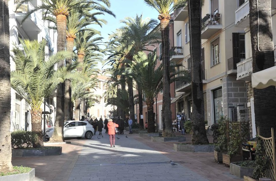 Imperia: proposti due lotti per la guerra al Punteruolo Rosso