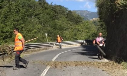 In 120 tra sindaci, consiglieri e cittadini di Triora e Molini  per pulizia e diserbo delle strade