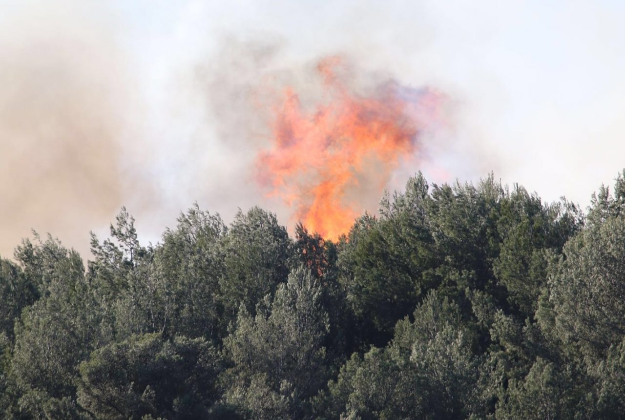 Incendi, Regione emana lo stato di grave pericolosità