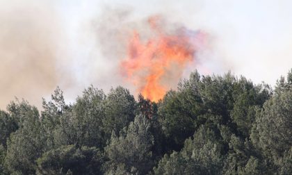 Incendi, Regione emana lo stato di grave pericolosità