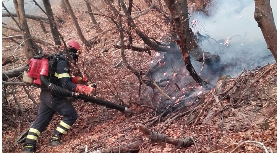 Incendio di Sant’Agata: bruciati 8.000 metri quadri di vegetazione