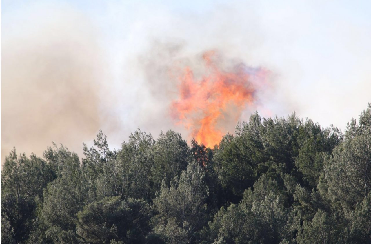 L’INCENDIO DI CERVO: UN VIDEO DI 3 MINUTI DELLA PROTEZIONE CIVILE