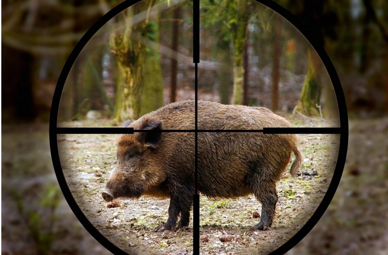 LEZIONE DI CACCIA A SCUOLA, LA PROPOSTA DEL CONSIGLIERE REGIONALE BRUZZONE. REPLICA DEGLI ANIMALISTI: “E’ DA RICOVERO”