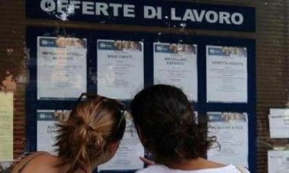 Le nuove offerte di lavoro dei centri per l'impiego da Cervo a Montecarlo