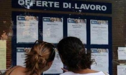 Ecco le nuove offerte di lavoro dei centri per l'impiego da Cervo a Montecarlo