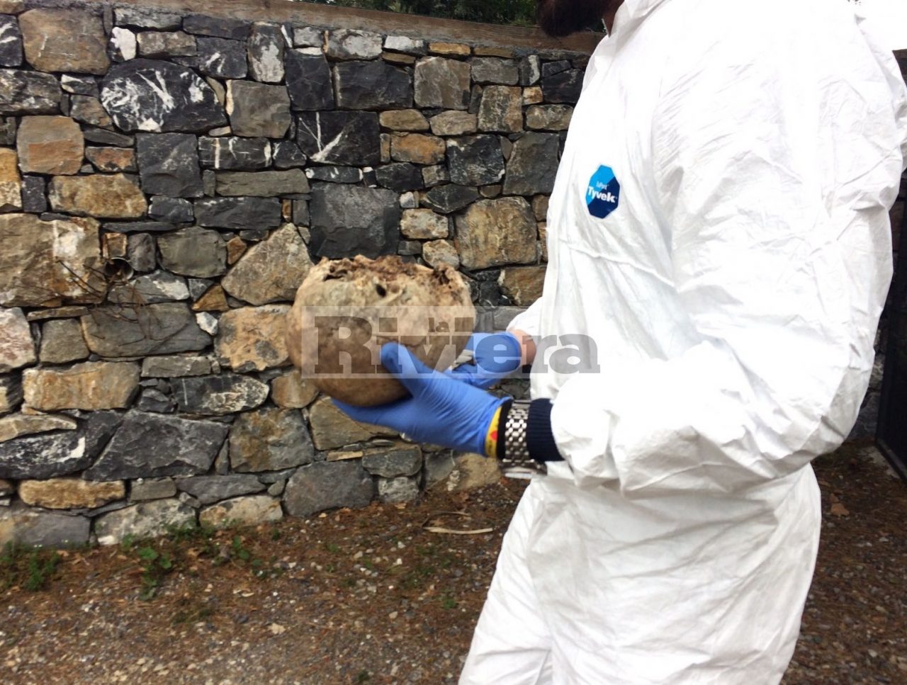 MACABRA SCOPERTA A IMPERIA: UN TESCHIO, 4 MANDIBOLE E VERTEBRE, NEL TERRENO DI UNA VILLA