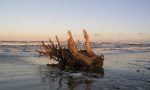 Mareggiate e maltempo: i cittadini potranno raccogliere il legname sulla spiaggia
