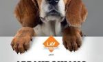 NUOVA CAMPAGNA DELLA LAV: ecco dove firmare la petizione contro la sperimentazione sugli animali