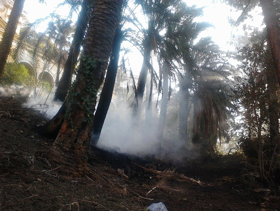 NUOVI FOCOLAI NEL PARCO DI VILLA SULTANA A OSPEDALETTI DOPO L’INCENDIO DELLA SCORSA NOTTE