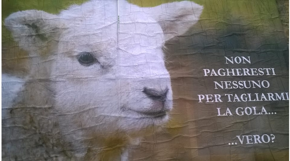 PASQUA “VEGANA” A SANREMO: SPUNTA IL MANIFESTO CONTRO LA CARNEFICINA DI AGNELLI