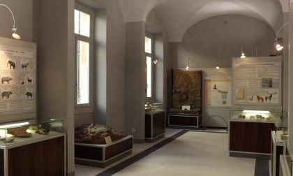 Sanremo, il Comune cerca due persone per il museo civico