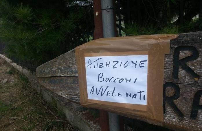 Moria di cani avvelenati a Camporosso, già 3 vittime