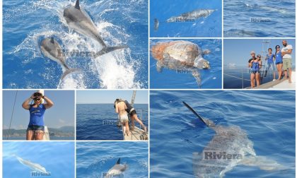 SANREMO: A CACCIA DI CETACEI NEL MAR LIGURE CON L'ISTITUTO DI RICERCA TETHYS/ FOTO SERVIZIO/ VIDEO