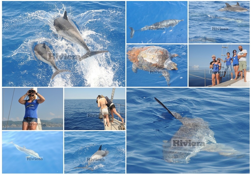 Domenica giornata dedicata all’ambiente marino a Sanremo
