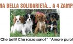 TUTTO PRONTO PER LA DUE GIORNI CON I "CAVALIER KING"/IL PROGRAMMA