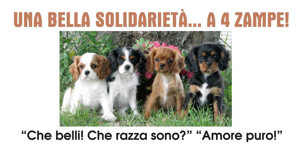 TUTTO PRONTO PER LA DUE GIORNI CON I “CAVALIER KING”/IL PROGRAMMA
