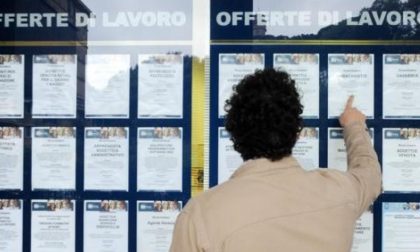 Tutte le offerte di lavoro da Cervo a Montecarlo aggiornate al 6 febbraio
