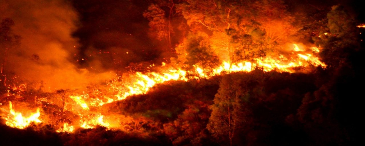 UN INFERNO DI FUOCO NELL’ENTROTERRA DI IMPERIA: RAFFICHE DI INCENDI E FRONTE DI OLTRE 3 CHILOMETRI